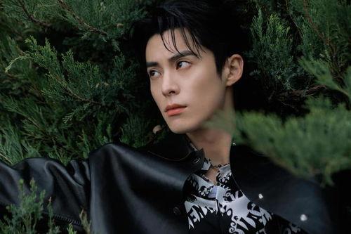 娱乐圈爆料白鹿王鹤棣,娱乐圈再掀甜蜜风暴