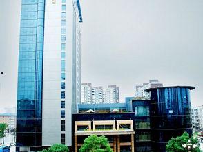 龙台金龙大酒店最新爆料,奢华升级，揭秘神秘新项目！